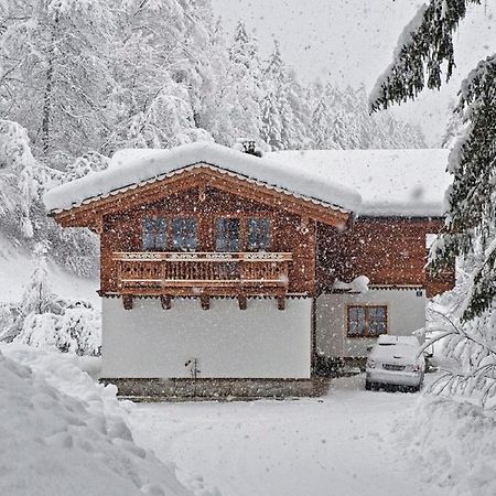 Ferienwohnung Steiner Wald im Pinzgau Exterior foto