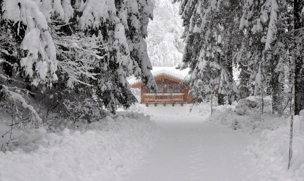 Ferienwohnung Steiner Wald im Pinzgau Exterior foto