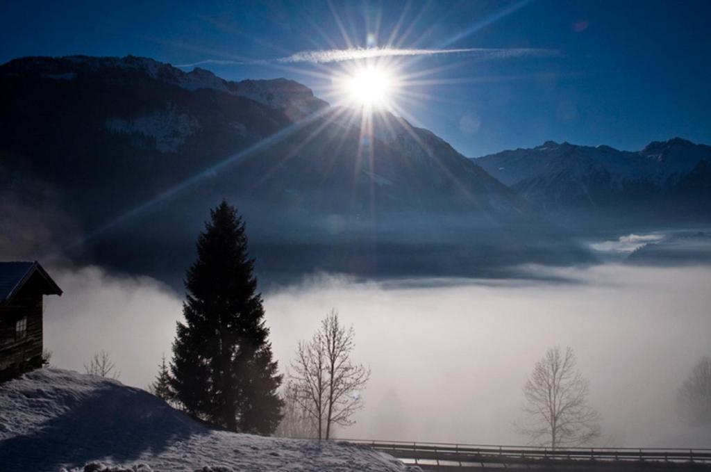 Ferienwohnung Steiner Wald im Pinzgau Exterior foto